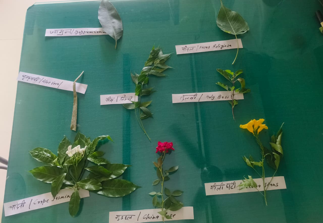 स्वस्थ जीवनशैली में आयुष चिकित्सा पद्धति लाभकारी : डॉ सुमन से संबंधित हरियाणा सरकार की आधिकारिक तस्वीर